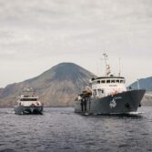 Sea Shepherd e la salvaguardia degli oceani