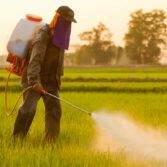 ¿Qué soluciones hay para reducir el uso de pesticidas?