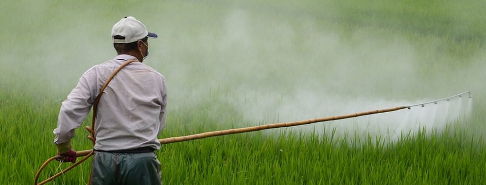 coltivatore che usa pesticidi su prato